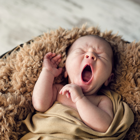What to look when you are buying a baby crib?