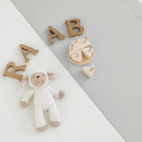 REPM SL - 160 x 234 x 4 cm Antibacterial Seamless Solvent-Free (environmentally friendly) Foldable Vegan PU Leather Play Mat