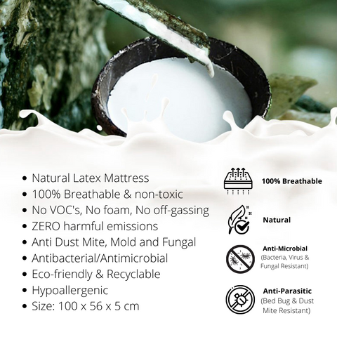 RaaB Family Natural Latex Mattress for baby