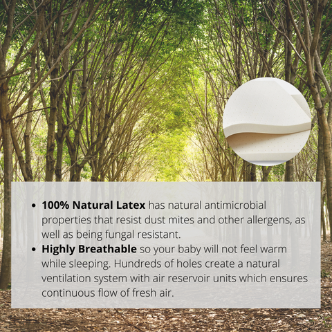 RaaB Family breathable latex mattress