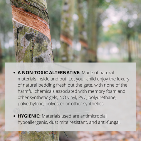 RaaB Family non-toxic latex mattress